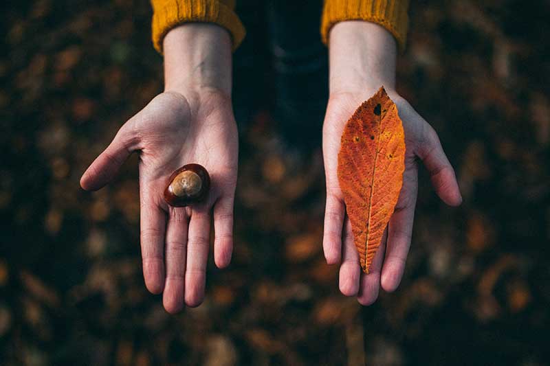 Contemplating separation? Here are some matters to consider |