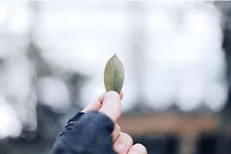 Divorce – Is it really what you think it is? | Family Law Gold Coast | Advance Family Law